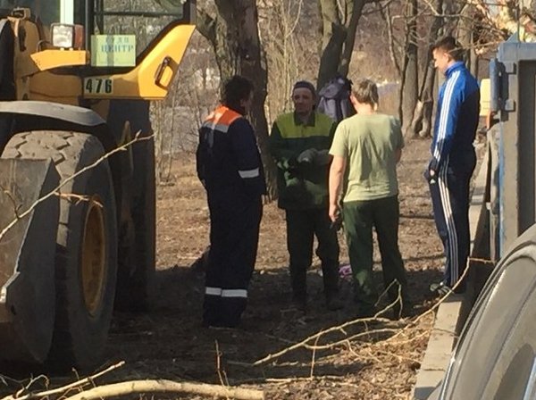 Не ДТП,не ЧП, но на Шкиперском протоке 21,у салона BMW валят деревья и режут ветки! Все падает на ма...