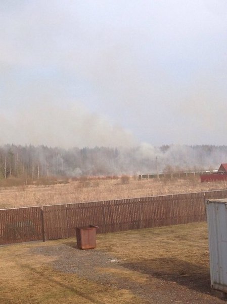 СНТ Щеглово-1 горит поле,кругом дома,пожарки нет...специально для службы 112,чтоб не думали что это ...