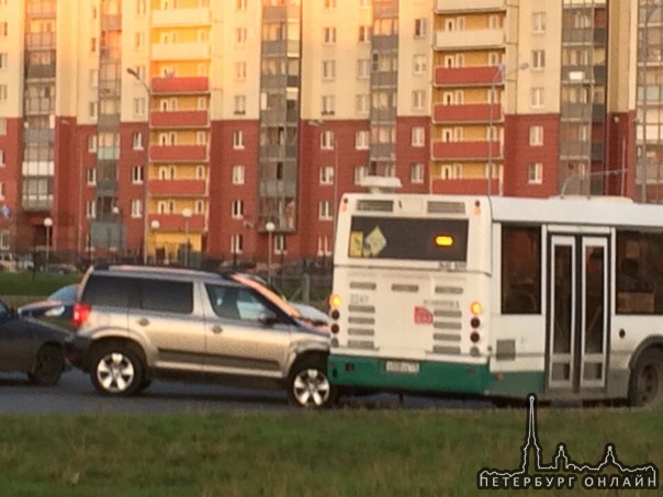 парашютная у мартыновского сквера. у машины прокололо колесо, затем она врезалась в 180 автобус.