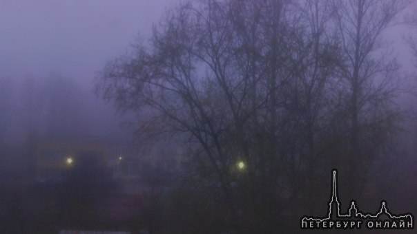 Сильный туман, хоть и красиво-но опасно( Проспект Ветеранов-Генерала Симоняка (2.30-3.15-5.00).фотки...