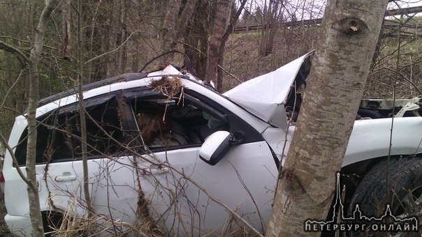 Авария в п.Осьмино Лужского района, водитель фуры пьян но жив, а в Suzuki витара мужчина и женщина...