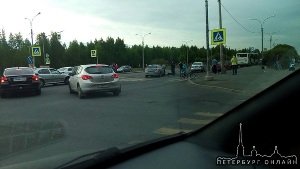 Угол Богатырского проспекта и Шуваловского,сбили велосипедиста на пешеходном переходе