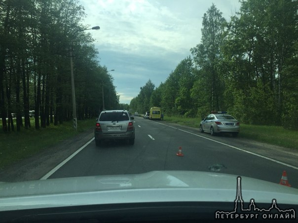 На Приморском шоссе, У поселка Лисий нос. машина улетела с дороги в лесополосу, Говорят гонялся с ке...