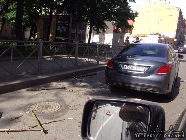 Часть дерева упала на Mercedes на Большой Пушкарской, угол Пионерской, Снимают проф.камерой.