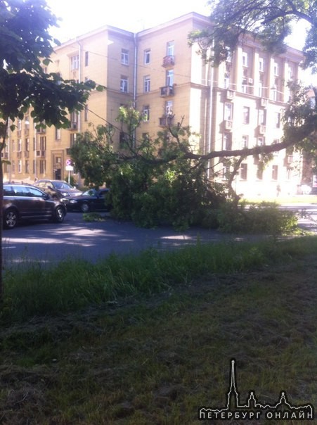 на пересечении Маринеско и Зайцева дерево упало на проезжую часть, перегородив обе полосы на Зайцева...