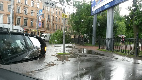 На пешеходном переходе Старо-петергофского проспекта лежит дерево. У поворота с Обводного в сторону...