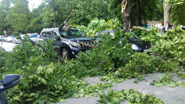 Ураганный ветер повалил деревья на машины на улице Смольного у дом 3