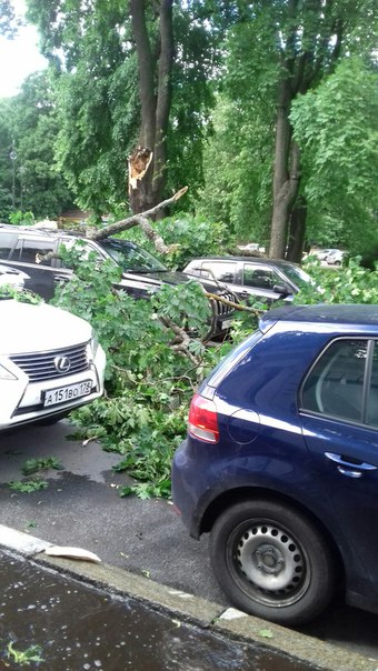 Ураганный ветер повалил деревья на машины на улице Смольного у дом 3