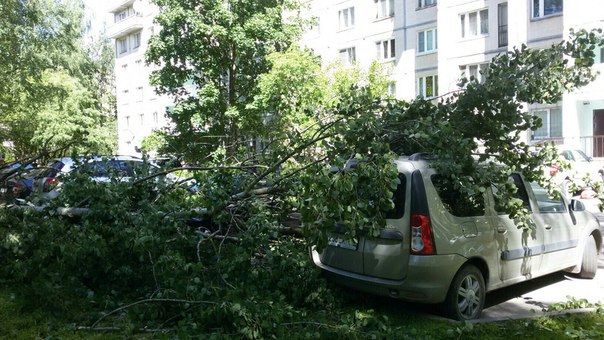 Повалило деревья на машины на Светлановском 48