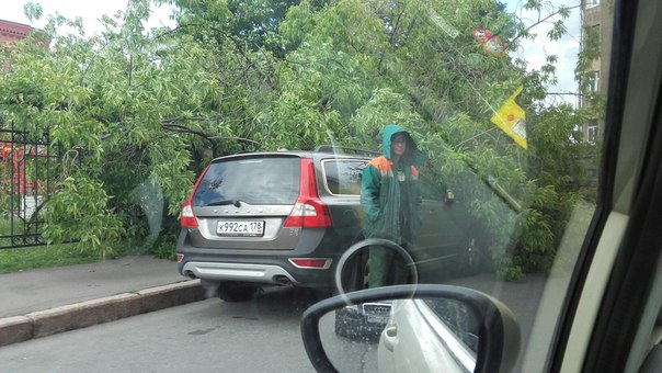 Дерево прикрыло собой Вольво и Ниссан на улице Воскова. Коммунальщики ликвидируют последствия..