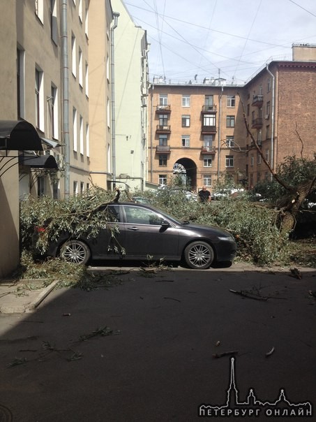 Упало дерево на Б. Сампсониевском пр., д. 29 А (во дворе магазина VIP Керамика) служб и хозяев авто ...