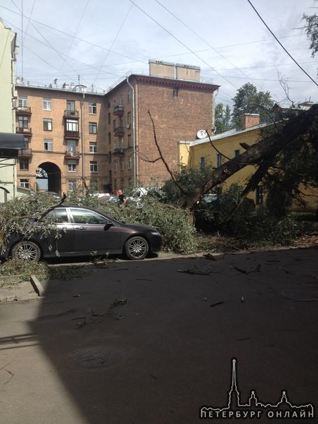 Упало дерево на Б. Сампсониевском пр., д. 29 А (во дворе магазина VIP Керамика) служб и хозяев авто ...