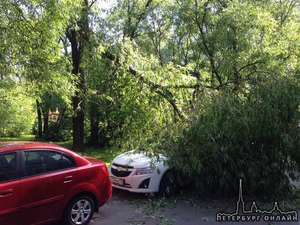 На улице Стасовой у второго подъезда дома 8 упало дерево на машину! Я самая везучая! Доброе утро! Чт...