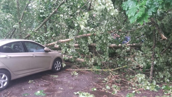 Упало дерево на машину, на Дачном пр. и Ветеранов.