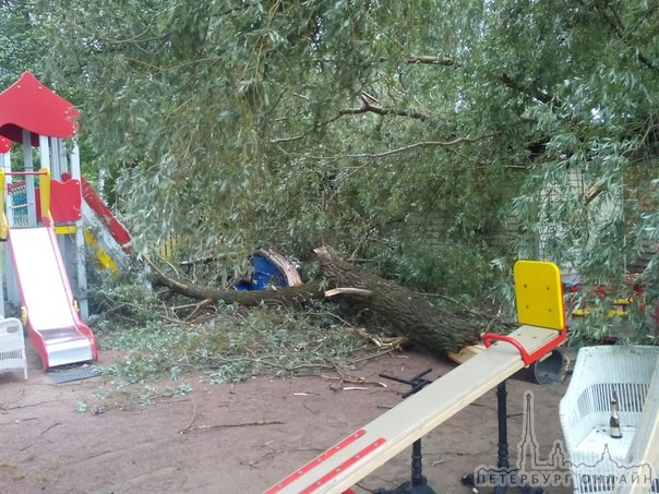 На Крестовском на Южной дороге прямо на глазах эпично рухнуло дерево на детскую площадку, совсем ряд...