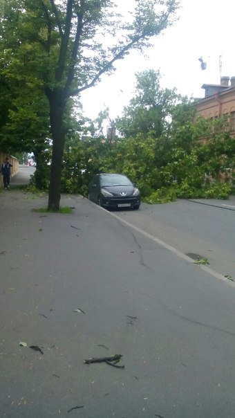 Степана Разина 8б Дерево упало в сантиметрах от машины!