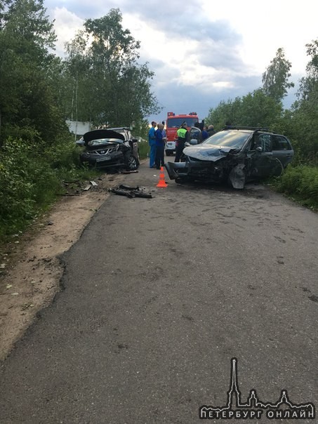 Михайловская,садоводство Чайка,лоб в лоб,Водитель Suzuki насмерть