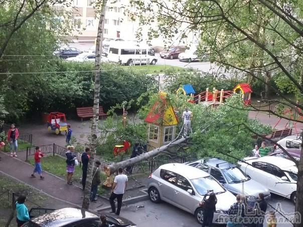 На улице Брянцева, во дворе дома 22, только что, прямо на детскую площадку рухнуло дерево.пострадавш...