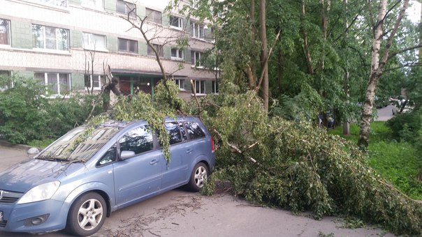 у дома 35 по Пискаревскому пр. упало дерево только что)))