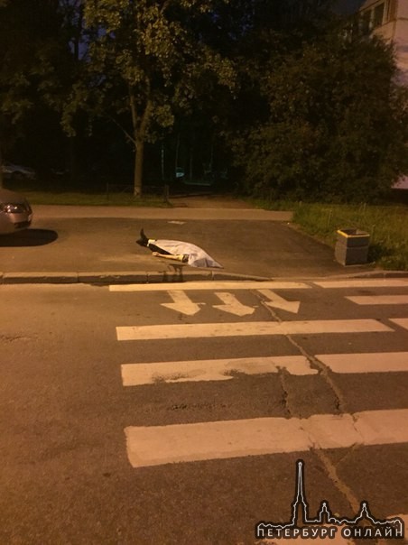 На пересечении улицы Кустодиева и Поэтического бульвара, найден труп мужчины лет 55 . По мнению поли...