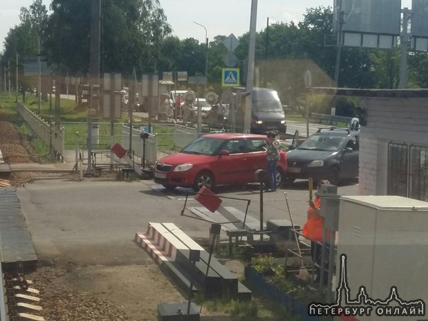 Переезд в ольгино логан догнал фабию, стоят общаются, дпс нет пробка копится.