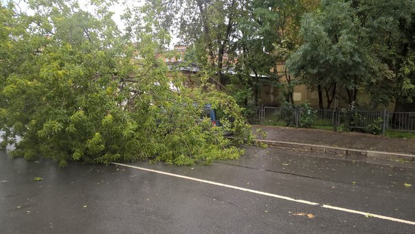 На 9-ой Красноармейской упало дерево на припаркованный автомобиль,проезд перекрыт