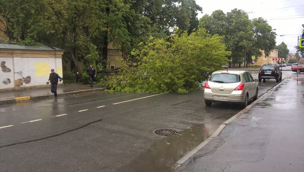 На 9-ой Красноармейской упало дерево на припаркованный автомобиль,проезд перекрыт