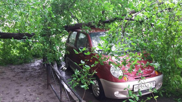 На Варшавской у дома 37 к 1, дерево накрыло Matizик