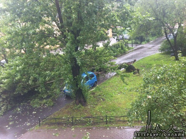 На Ольминского 18 упало дерево оборвало провода и зацепило машинку