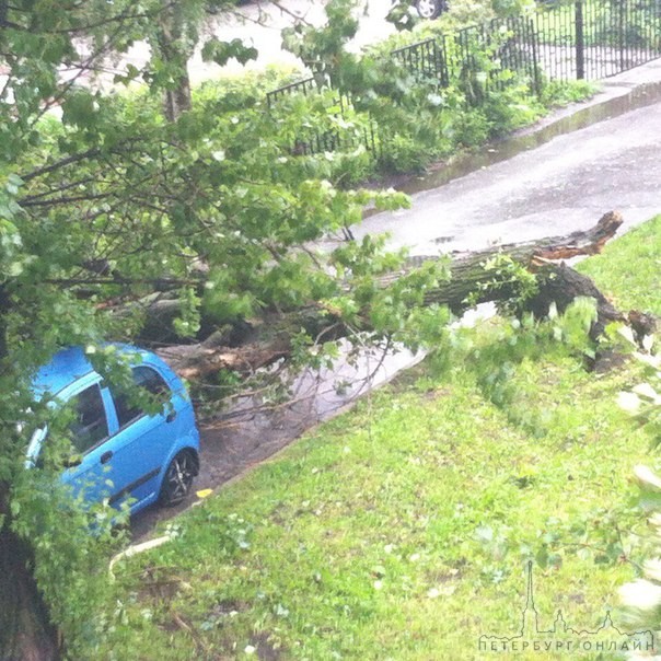 На Ольминского 18 упало дерево оборвало провода и зацепило машинку