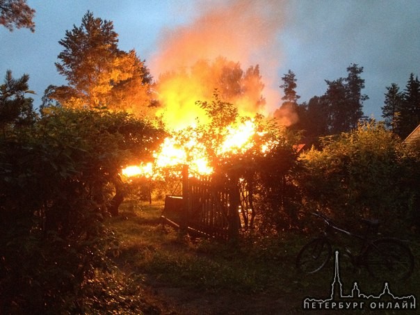 Садоводство Дунай Всеволожского района в 23:30 примерно сгорело три здания: хоз пристройка, жилой до...