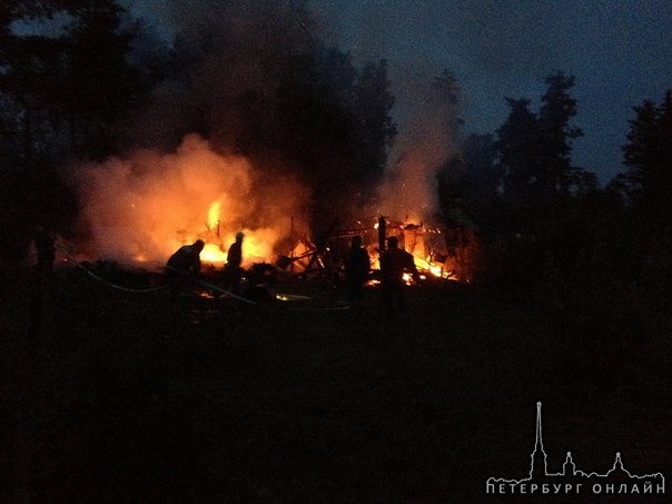 Садоводство Дунай Всеволожского района в 23:30 примерно сгорело три здания: хоз пристройка, жилой до...
