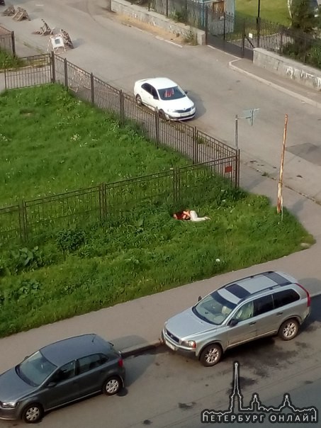 Угол Миргородсгой и Харьковской, мирно спит в траве!)