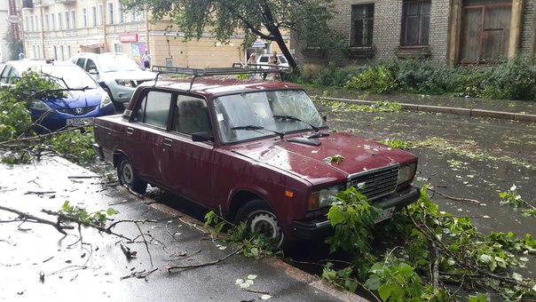 На улице Крупской упавшие деревья повредили две припаркованные машины