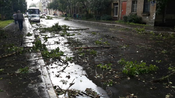 На улице Крупской упавшие деревья повредили две припаркованные машины