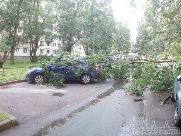 На Искровском пр. упало дерево на машины, после урагана