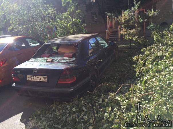 Господин хороший, вам на Mercedes на Б. Охте ещё вчера упало дерево. Загорелые брюнеты уже ездят на ...