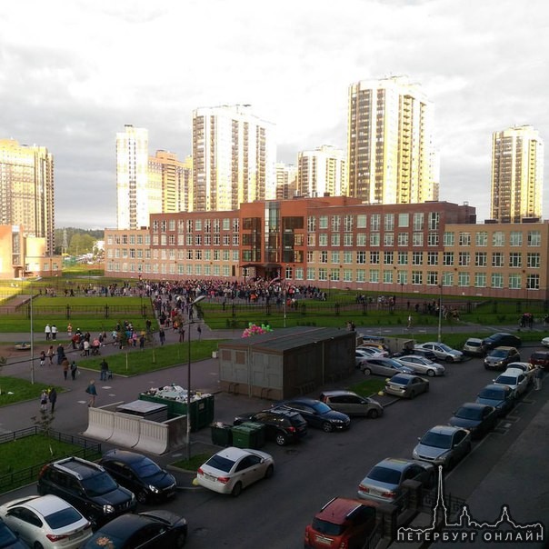 В петербургские школы 1 сентября пришли 52 тыс. первоклассников. Об этом сообщила председатель город...