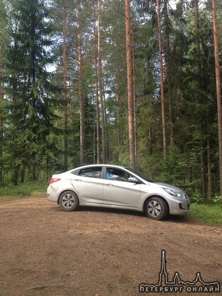 Помогите. Сегодня 14.09.2016 угнали Hyundai салярис.