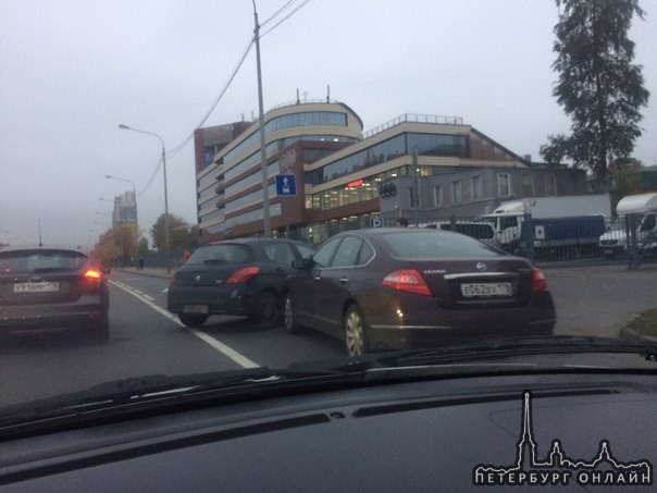 Пыжик не дал Теане сократить время стояния в пробке на Маршала Блюхера от Лабораторной к Гражданке.