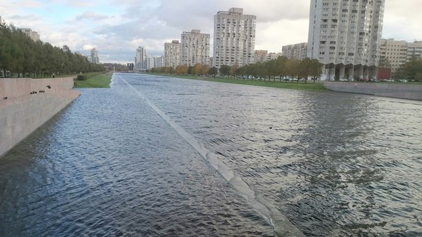 А Нева тоже вышла из берегов? Присылайте фотографии в комментарии.