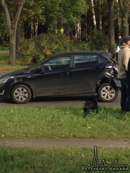 Kia поворачивала во дворы на Будапештской 19, водитель фуры не увидел и влетел в зад.