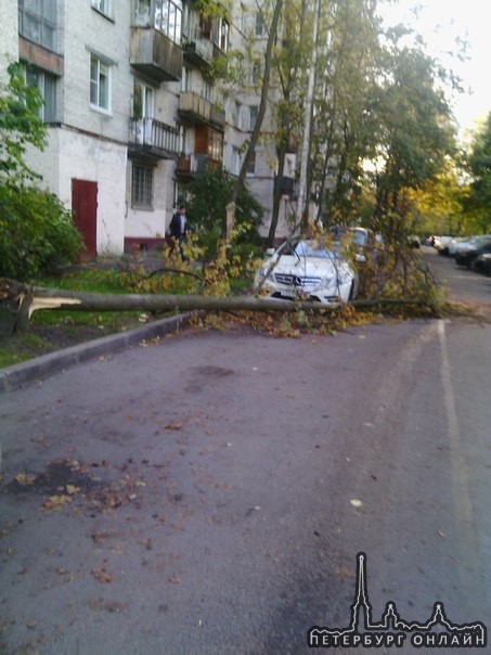 Последствия сильного ветра. Осторожно с парковкой!