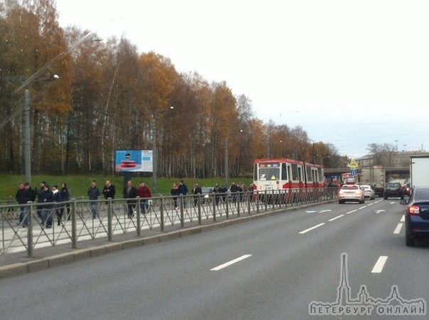 По пути на Светлановскую площадь трамваи 55 встали в оба направления!
