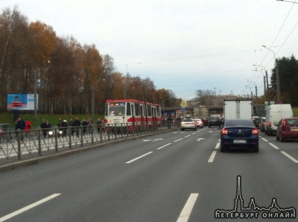По пути на Светлановскую площадь трамваи 55 встали в оба направления!