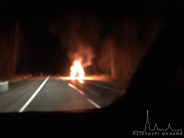 Во Всеволожском районе, за посёлком Углово сбит кабан, машина горит( люди не пострадали!