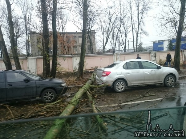 На Ул. Салова....Дерево... Упало...((