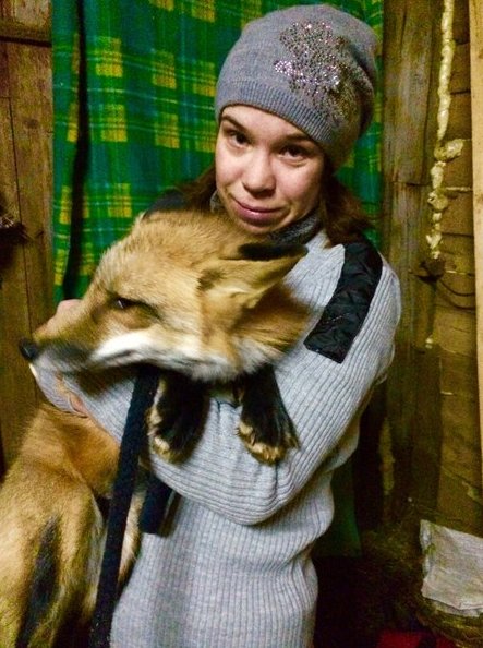 Помогите найти! Сегодня ночью 16 ноября с Большой десятиной улицы сбежала лиса! В шлейке, домашний!...