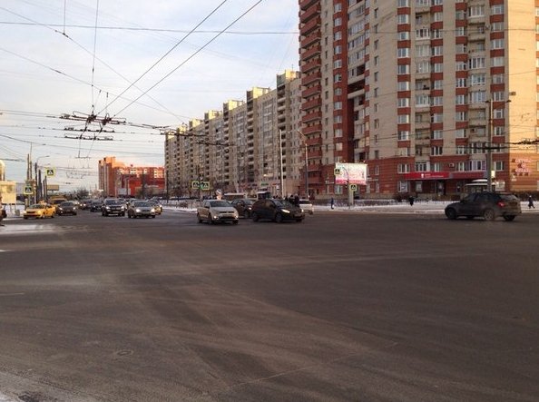 На перекрестке Косыгина и Наставников два оленя встретились прямо на рельсах. Движение трамваев блок...
