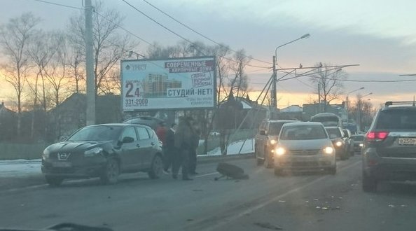 На Санкт-Петербургском у Макаровки, авария 4 машины, все живы, но пострадавшие есть